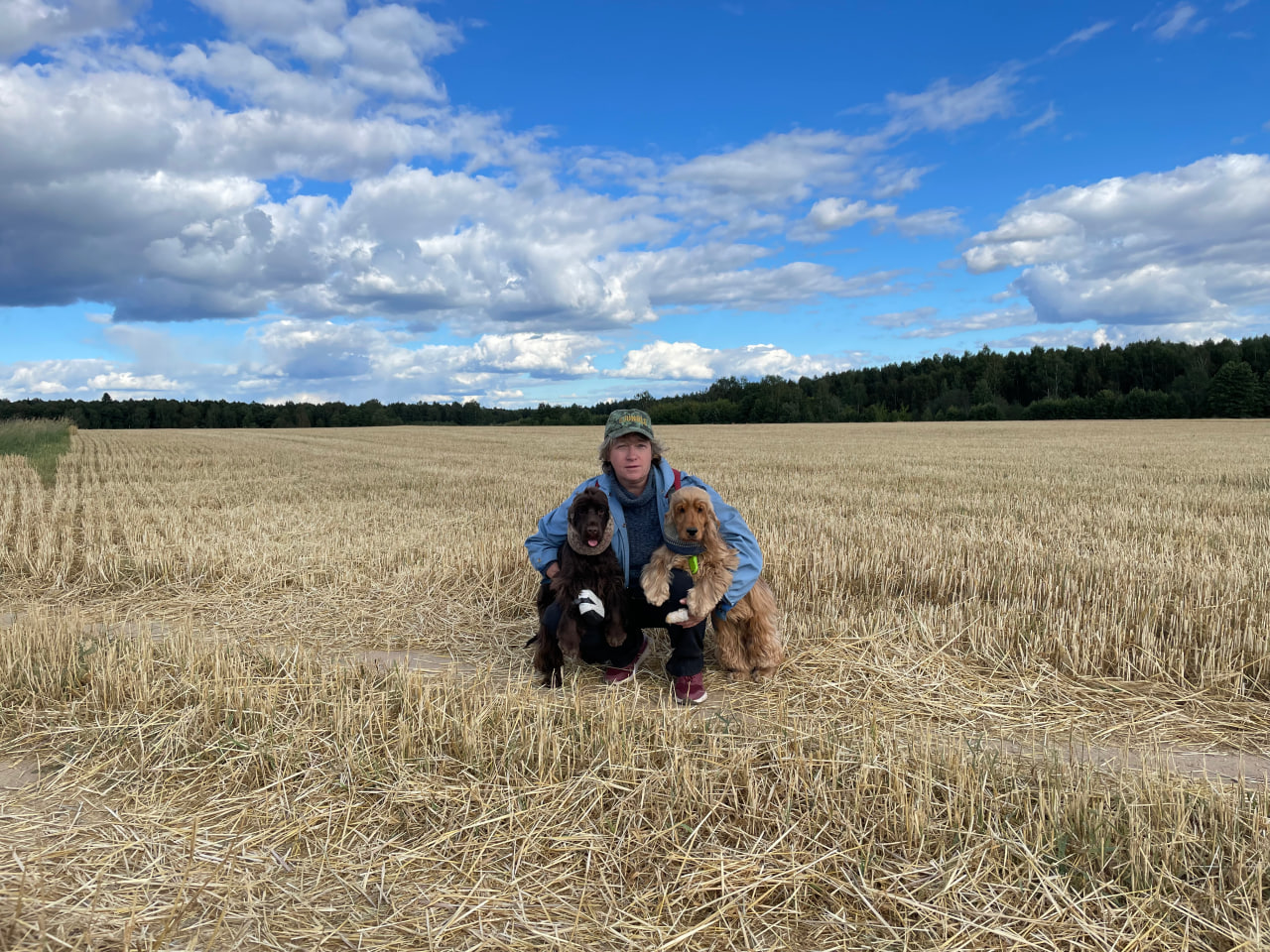 Питомник Ириджонс Смайл