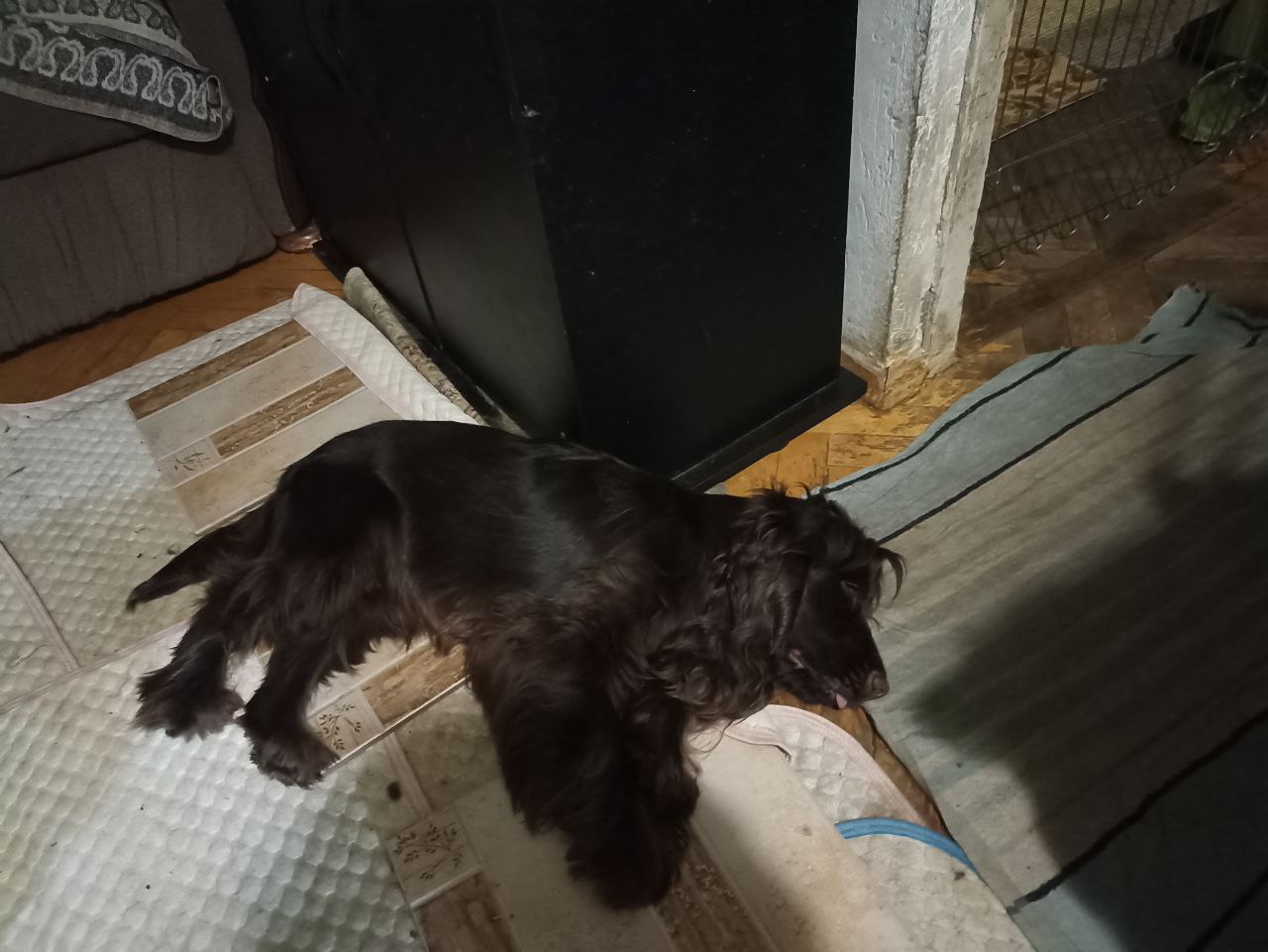 Сайт работает